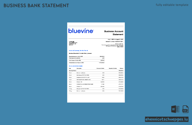 USA, Kalifornien: BlueVine Geschäftskontoauszug (Word- und PDF-Beispiel)